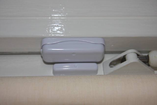 20091231-IMG_9302.jpg