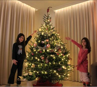 Xtree LED Lights